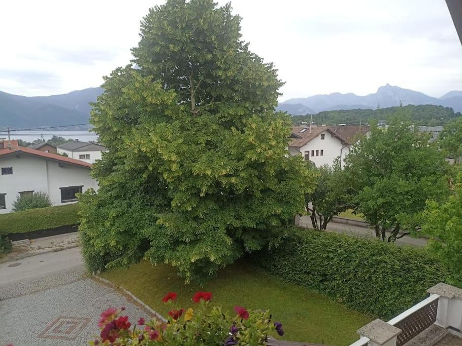 Ferienwohnung Guetl Am Weg Altmünster Esterno foto